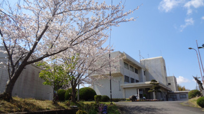 DSC01317
