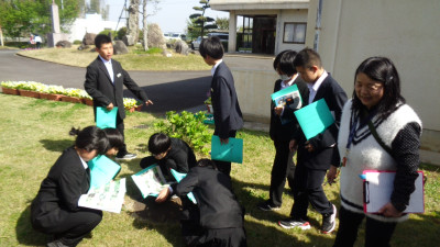 １年理科　植物の観察