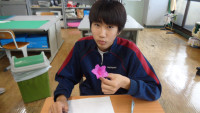 椎の木理科　花の構造