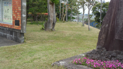 除草シート