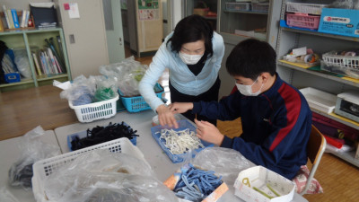 椎の木作業２
