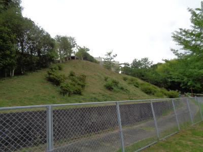 DSC00001