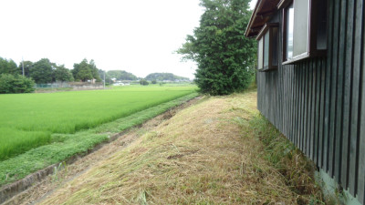 DSC04525