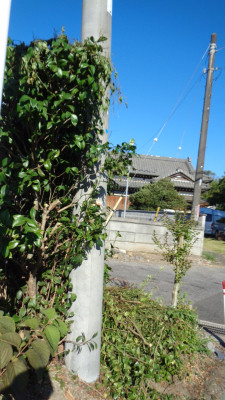DSC04841
