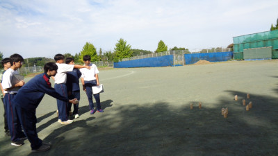 DSC05902