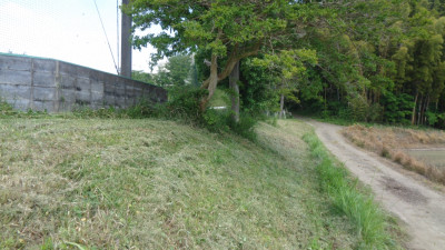 DSC03243