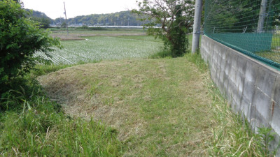 DSC03246