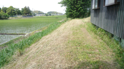 DSC03249