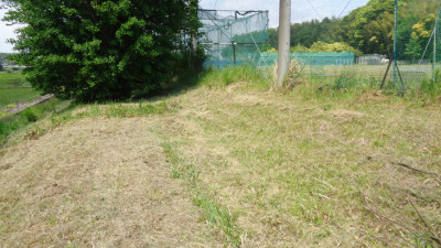 DSC03250