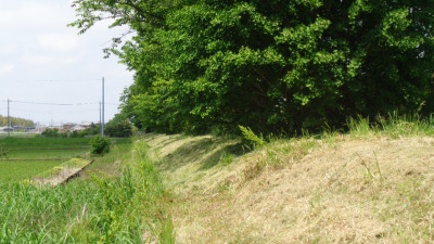 DSC03252