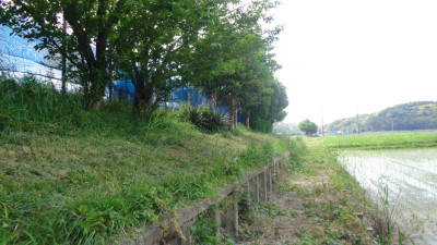 DSC03254