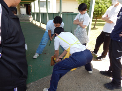 DSCN9553