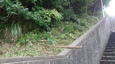 DSC06620